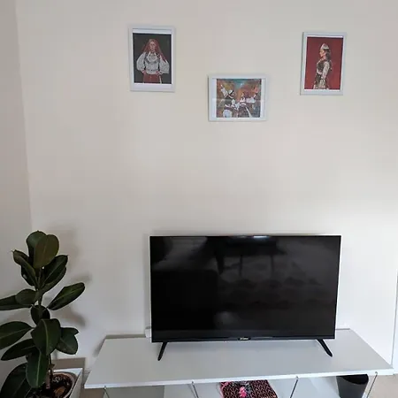 アパート Modern Cozy 10 Min Walk To Skanderbeg Square ティラナ